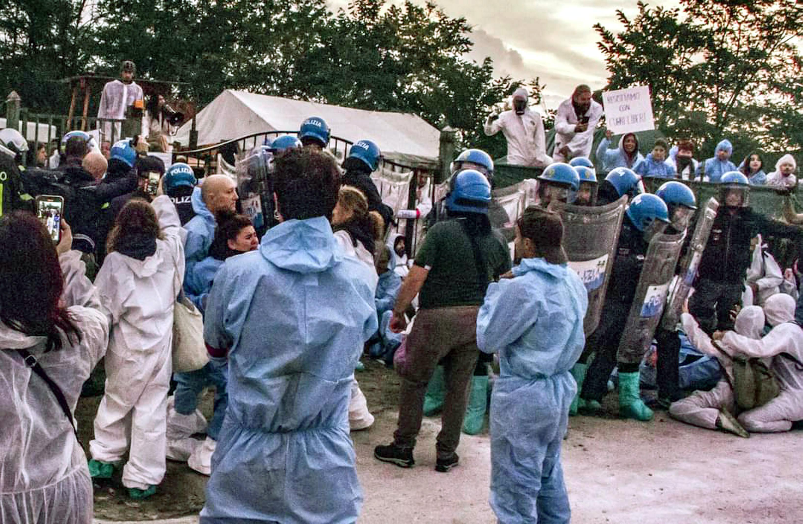 Peste suina, irruzione nel rifugio pavese per abbattere tutti i maiali