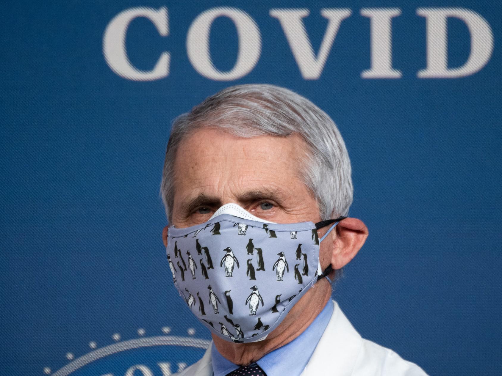 Pillola anti covid, Fauci: "Dati sono impressionanti"
