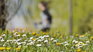 Pioggia e maltempo, poi torna il sereno: primavera in arrivo? Le previsioni meteo di oggi