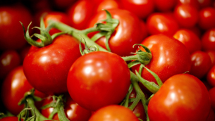 Tomatoes are displayed at the Australian