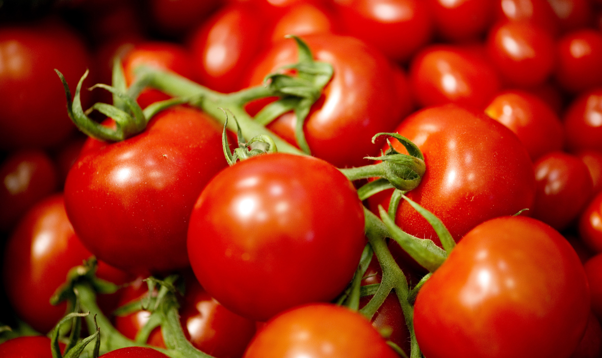 Tomatoes are displayed at the Australian