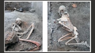 Pompei, nuovi scheletri emergono dall'Insula dei Casti Amanti
