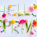 primavera_copertina_orizz
