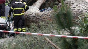 Reggio Calabria, vento a 100 Km all'ora: uomo muore travolto da un albero