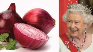 regina e cipolle