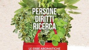 Ricerca, le erbe aromatiche di Aism tornano in piazza per lotta alla sclerosi multipla