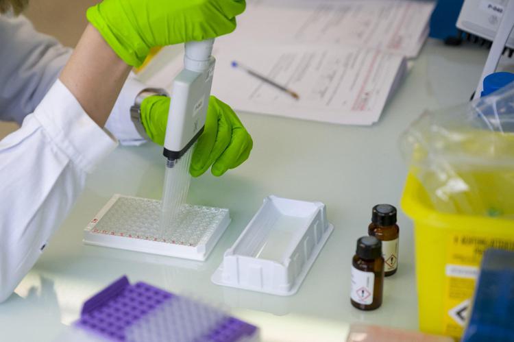 Ricerca, Nobel Medicina Semenza: "Perdere giovani impoverisce Paese"