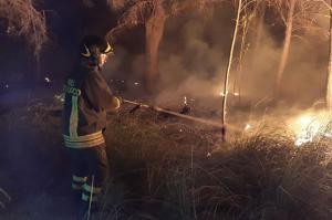 Roghi in Sardegna, procura Oristano apre inchiesta