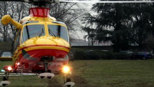 Roma, bimba di 2 anni e la nonna aggredite in casa da due cani: ricoverate in gravi condizioni