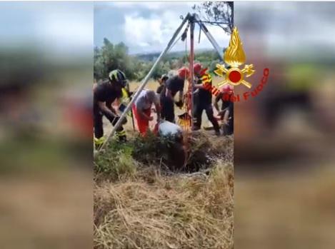 Roma, cade in un pozzo di 16 metri: il salvataggio - Video