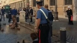 Roma, nuovo blitz Ultima Generazione a Palazzo Madama: bloccati