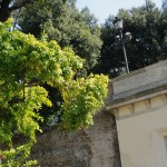 Roma, ragazza cade da terrazza del Pincio: volo di 5 metri