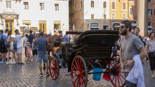 Roma, stop alle botticelle nei mesi estivi