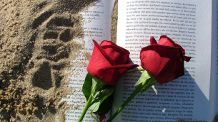 rose-e-libri