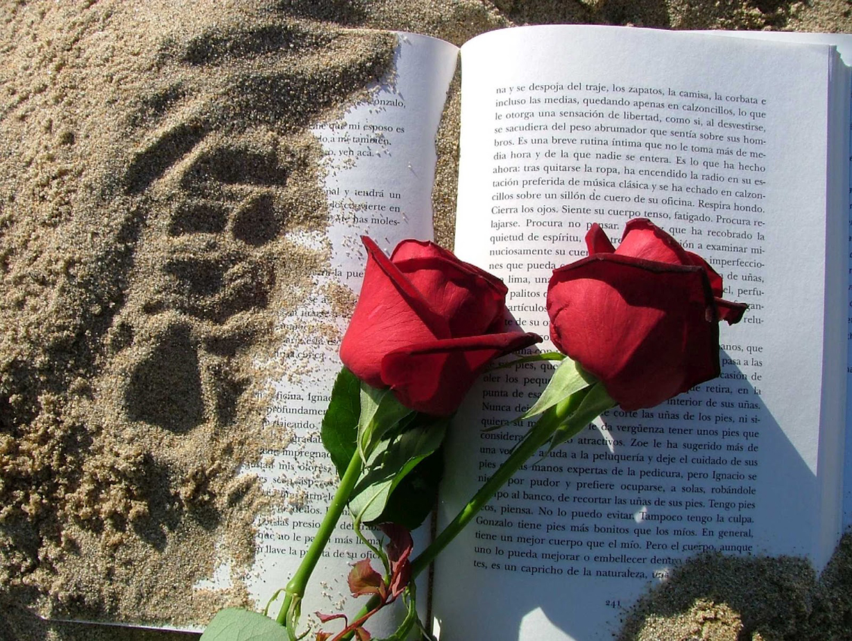 rose-e-libri