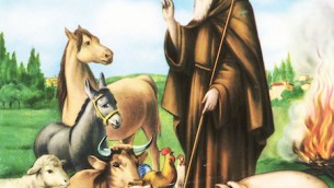 sant_antonio_abate_animali