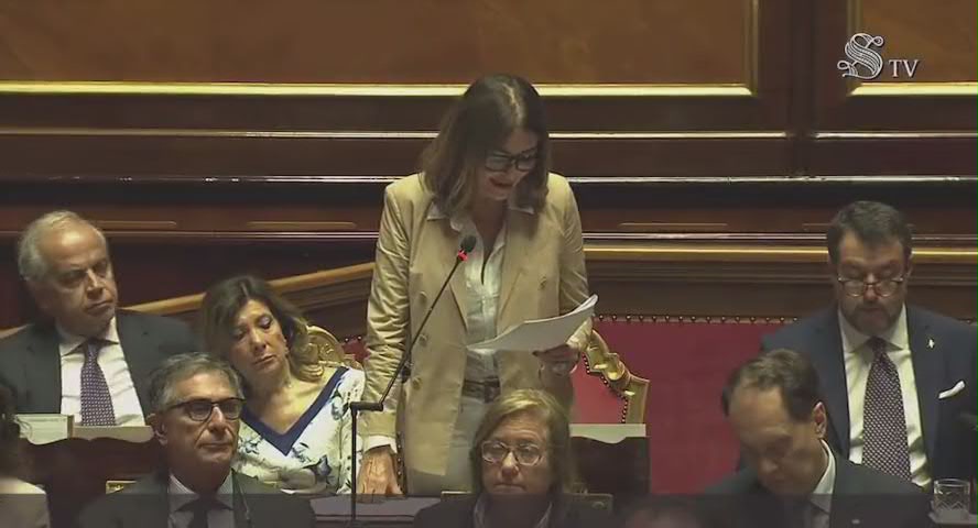 Santanchè al Senato: "Chi mi critica prenota nei miei locali" - Video