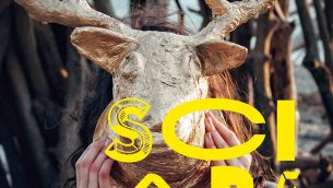 sciab(2)