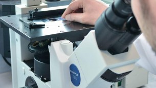 Scoperta proteina chiave per rigenerare i muscoli