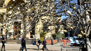 Scoppia la primavera, arrivano sole e temperature oltre i 20°: meteo oggi e domani