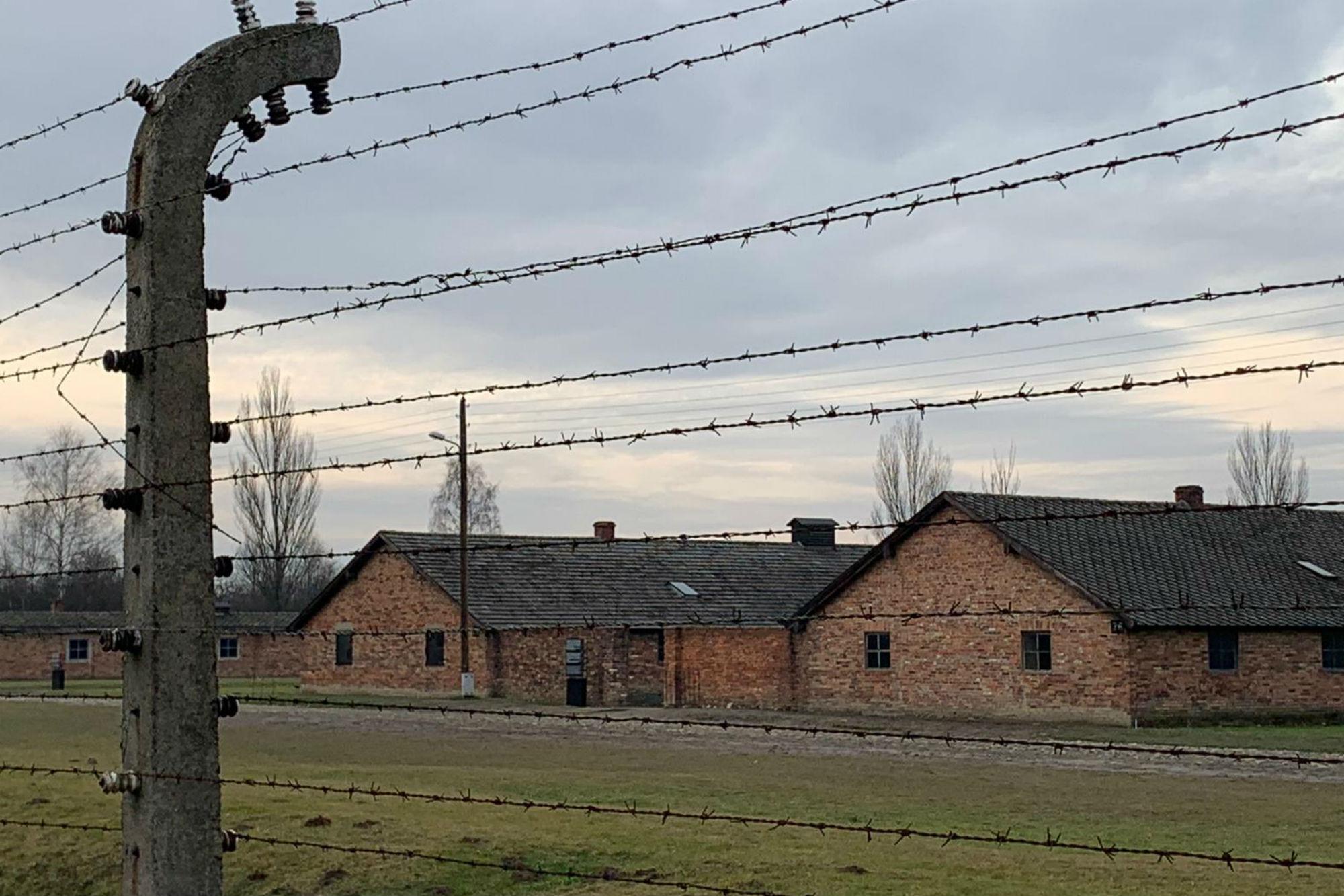 Shoah, Meloni: "Rappresenta l’abisso dell’umanità"