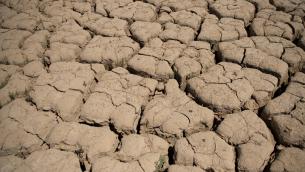 Siccità, quasi metà Europa è a rischio