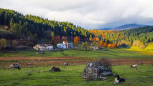 Altopiano silano (Foto Mario Greco)