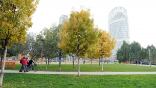 Smog fa male anche alle ossa, con più verde meno osteoporosi