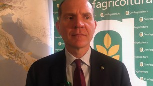Sostenibilità, Giansanti (Confagricoltura): "Agricoltura protagonista concetto capitale naturale"