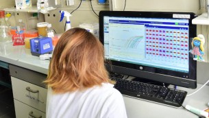Staminali del cervello rallentano sclerosi multipla