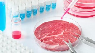 Stop carne sintetica, Mattarella promulga legge ma Italia rispetterà Ue