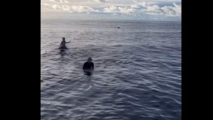 Surfisti dispersi dopo tempesta, trovati vivi dopo 38 ore sulla tavola - Video
