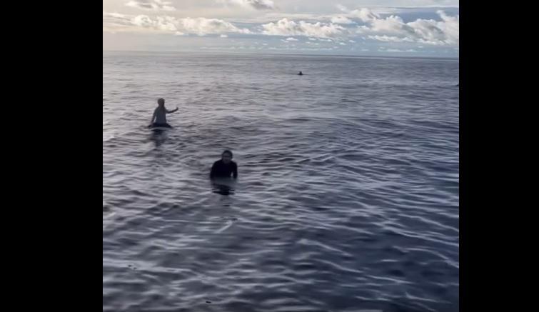 Surfisti dispersi dopo tempesta, trovati vivi dopo 38 ore sulla tavola - Video