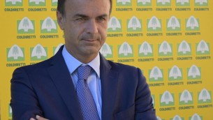 Tabacco, Prandini (Coldiretti): "Accordi filiera determinanti per crescita"
