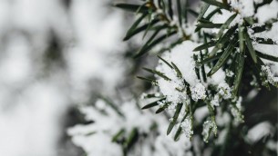 Temperature giù di 10 gradi, colpo di coda dell'inverno sull'Italia