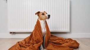 Termosifoni accesi e bollette, quanto spenderanno gli italiani?