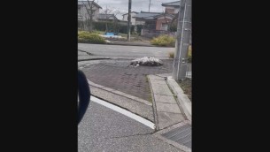 Terremoto Giappone, auto all'incrocio e la strada si alza - Video