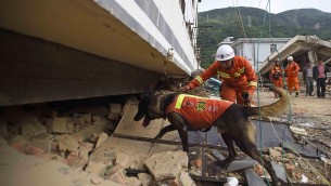 Terremoto in Cina, scossa 6