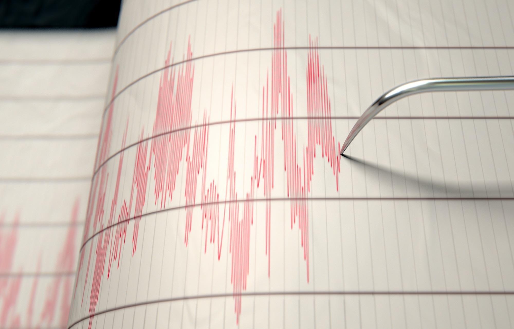 Terremoto oggi Gargano, scossa magnitudo 4