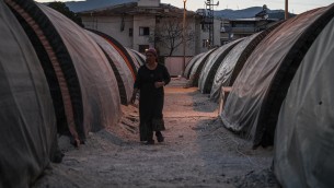 Terremoto Turchia, oltre 49mila morti. Nuova scossa di magnitudo 4