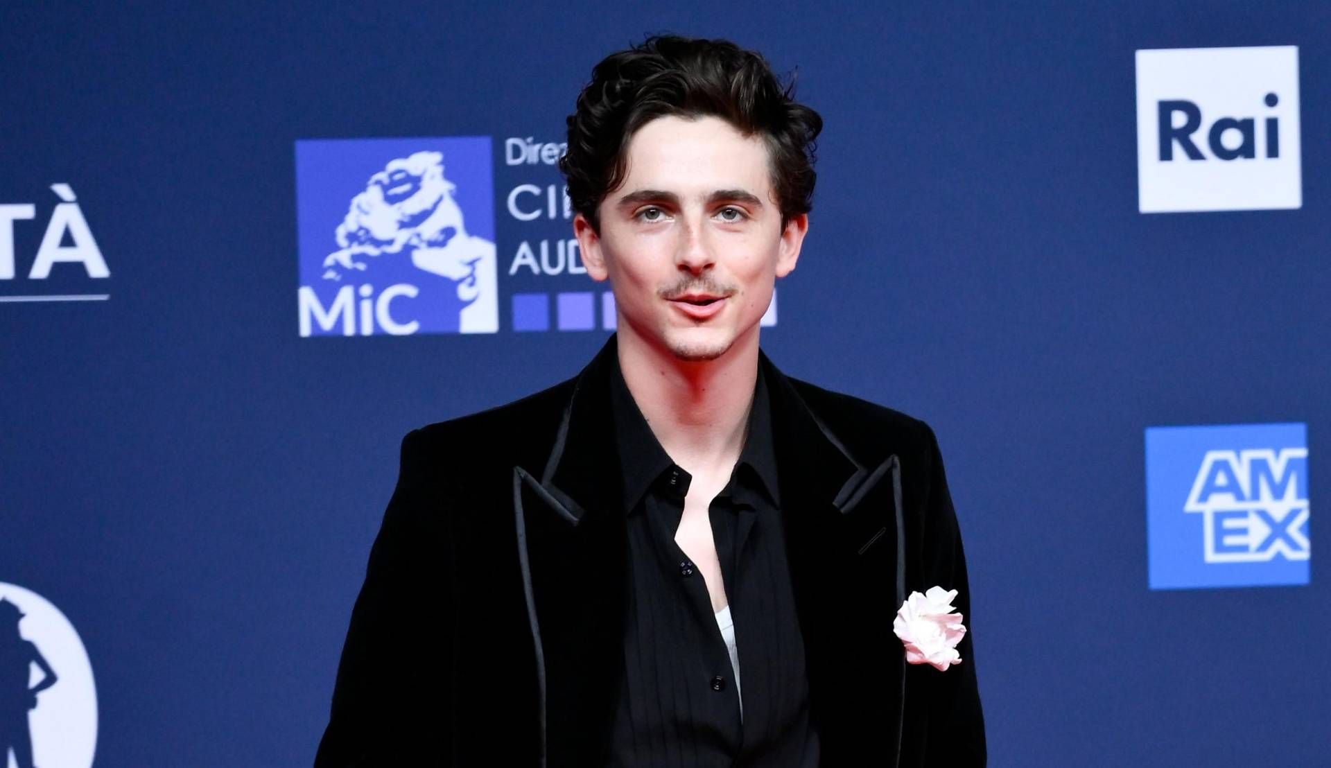 Timothée Chalamet ai David 2025: "Con l'Italia connessione profonda"