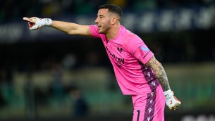 Torino-Verona 0-0