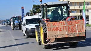 Trattori, una protesta con tanti capi: movimento a caccia di un leader