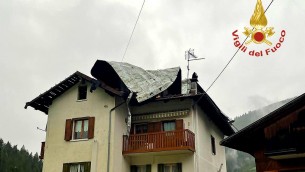 Tromba d'aria in Cadore, gli alberi cadono come birilli - Video