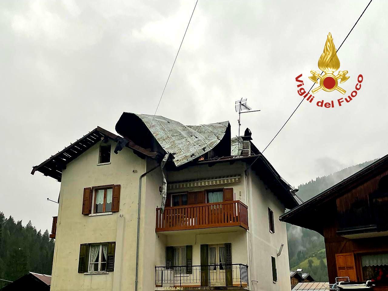 Tromba d'aria in Cadore, gli alberi cadono come birilli - Video
