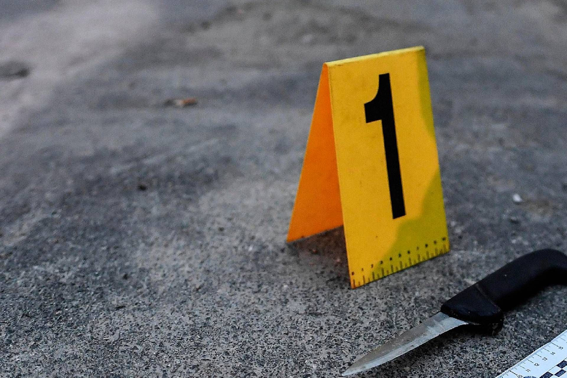 "Troppe armi da fuoco e coltelli in giro", Pd chiede lo stop in due proposte di legge