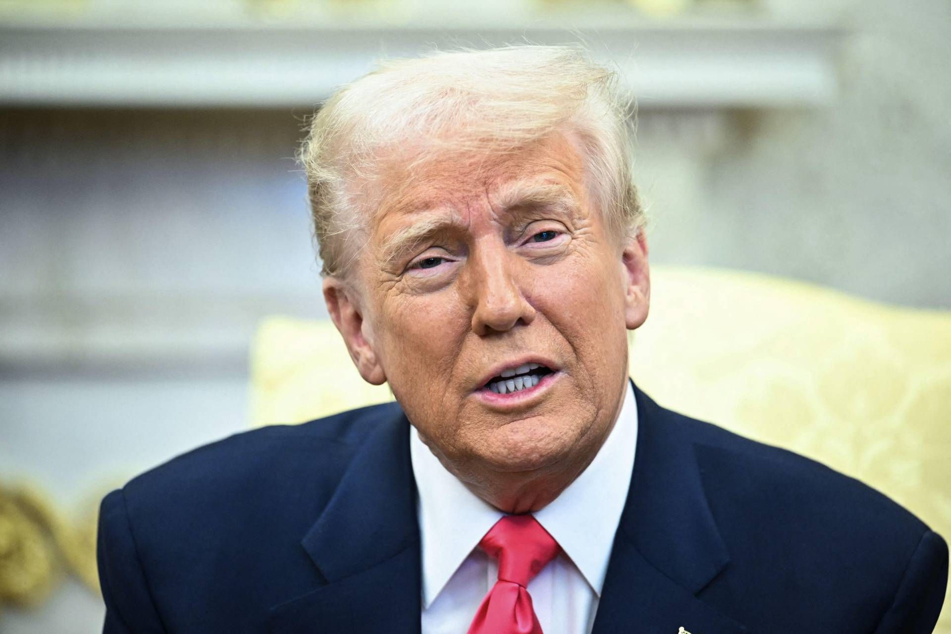 Trump: "Ho chiesto a Putin di non uccidere soldati ucraini"