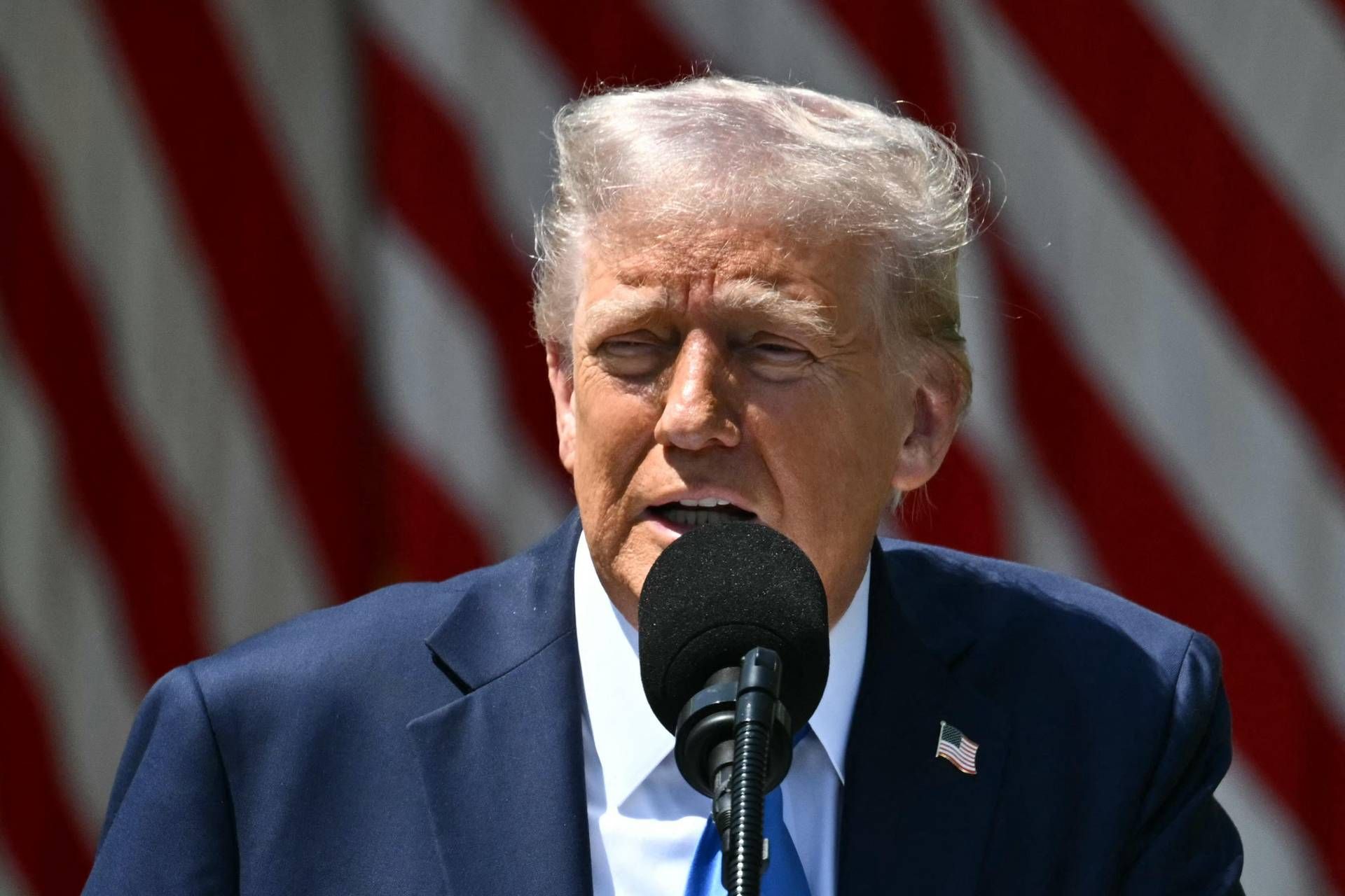 Trump: "Houti annunciano stop combattimenti, Usa fermeranno i raid"