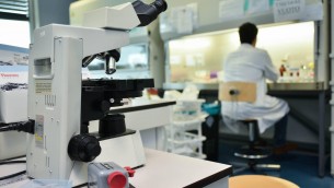 Tumore pancreas, svelato un meccanismo della malattia: lo studio italiano assist per cure