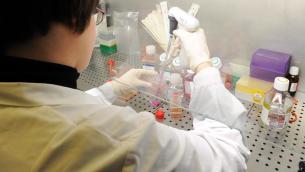 Tumori, scoperto nuovo meccanismo per 'affamare' il cancro